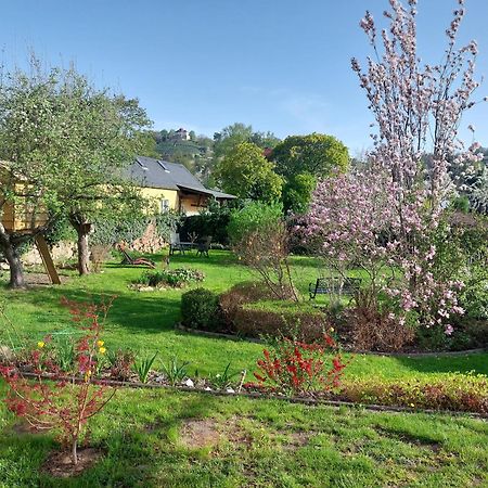 Villa Tini Радебойль Экстерьер фото