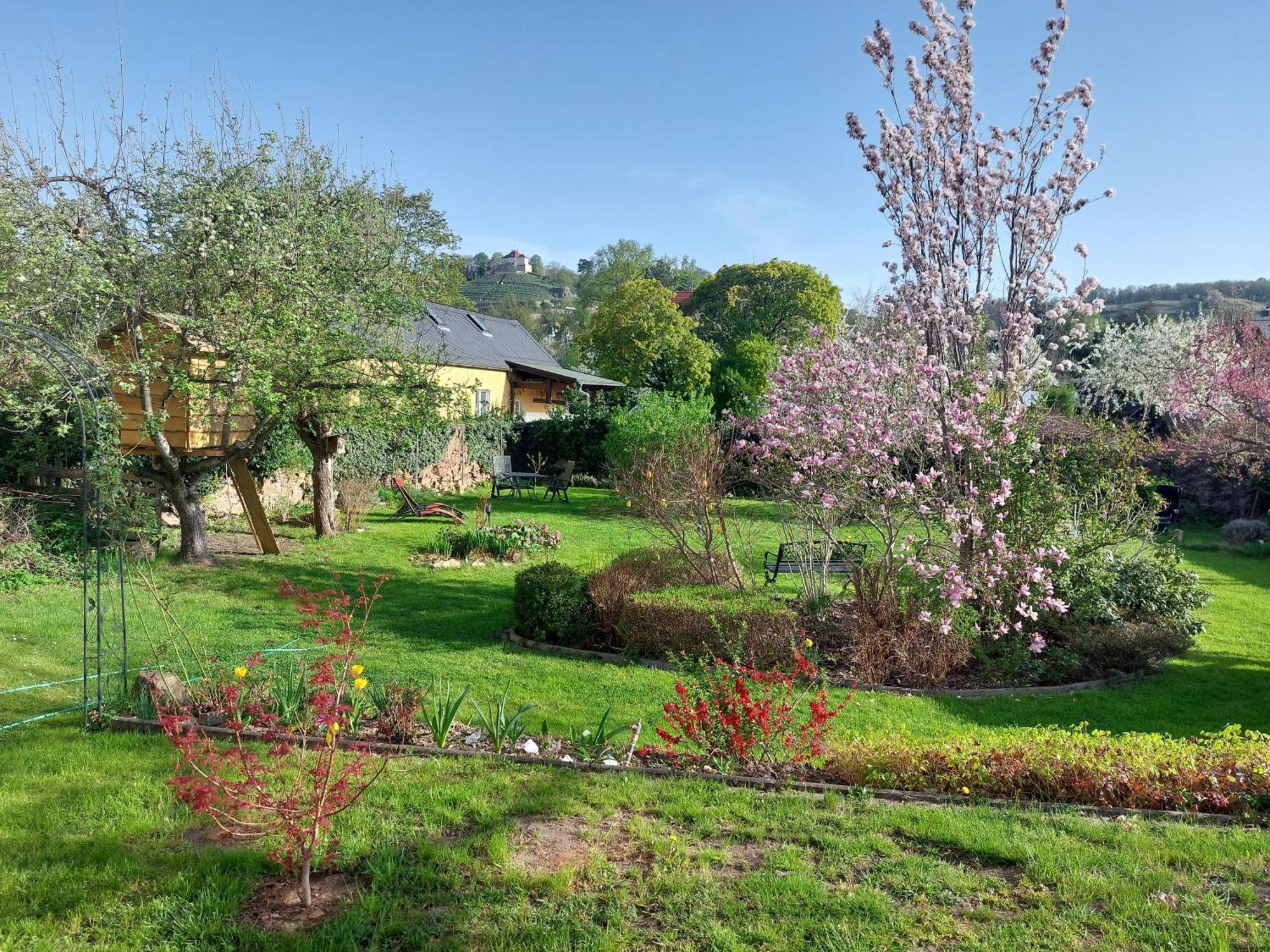 Villa Tini Радебойль Экстерьер фото